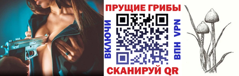 Псилоцибиновые грибы Psilocybe  мега как зайти  Протвино 